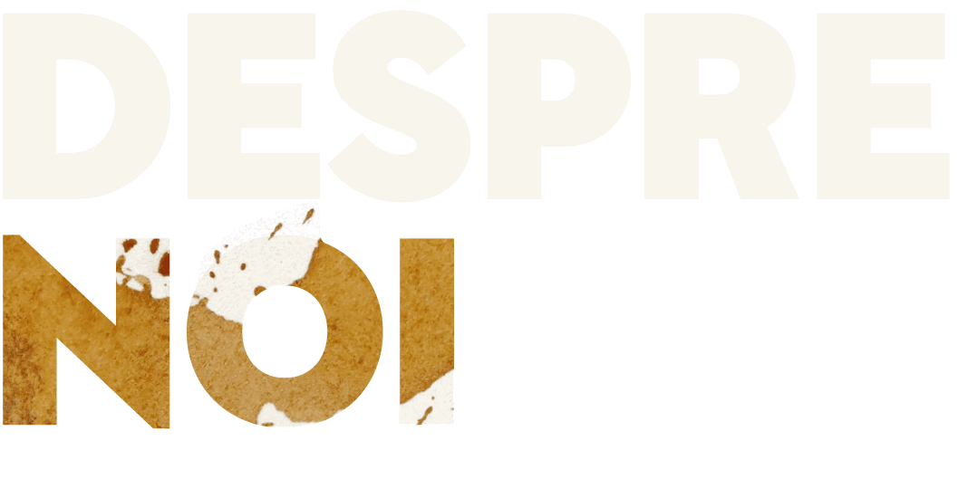 Despre noi